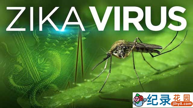 央视流行病研究纪录片《看不见的危机:寨卡病毒》全1集 TS/蓝光高清纪录片资源百度云盘下载插图 央视流行病研究纪录片《看不见的危机:寨卡病毒》全1集 TS/蓝光高清纪录片资源百度云盘下载