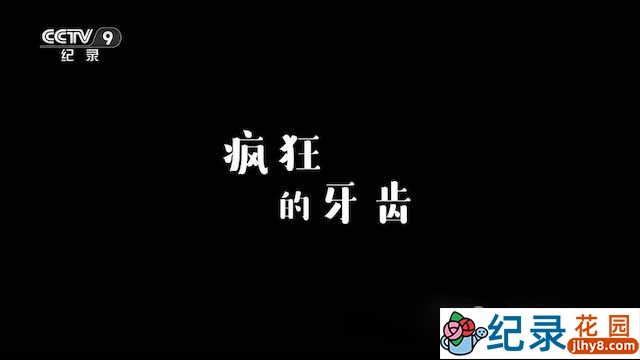 央视生命探索纪录片《疯狂的牙齿》全1集 TS/蓝光高清纪录片资源百度云盘下载插图 央视生命探索纪录片《疯狂的牙齿》全1集 TS/蓝光高清纪录片资源百度云盘下载