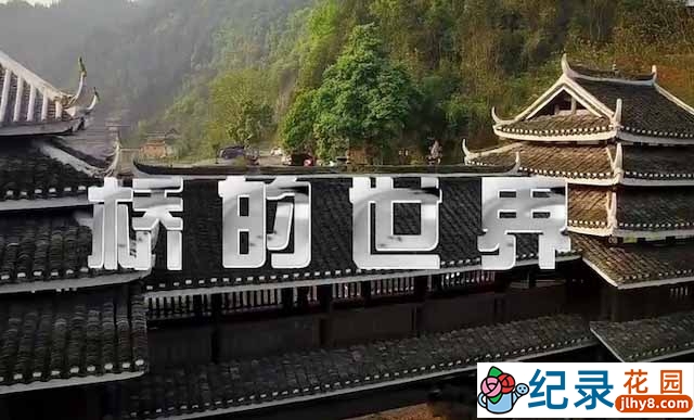 央视桥梁建筑纪录片《桥的世界》全5集 TS/蓝光高清纪录片资源百度云盘下载 永久会员专享资源插图 央视桥梁建筑纪录片《桥的世界》全5集 TS/蓝光高清纪录片资源百度云盘下载 永久会员专享资源