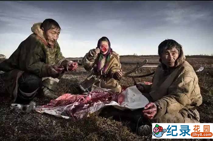 历史人文纪录片《消失的极地猎人:因纽特人 Netsilik Eskimo》合集中字 1080P高清自媒体解说素材百度云盘下载插图 历史人文纪录片《消失的极地猎人:因纽特人 Netsilik Eskimo》合集中字 1080P高清自媒体解说素材百度云盘下载