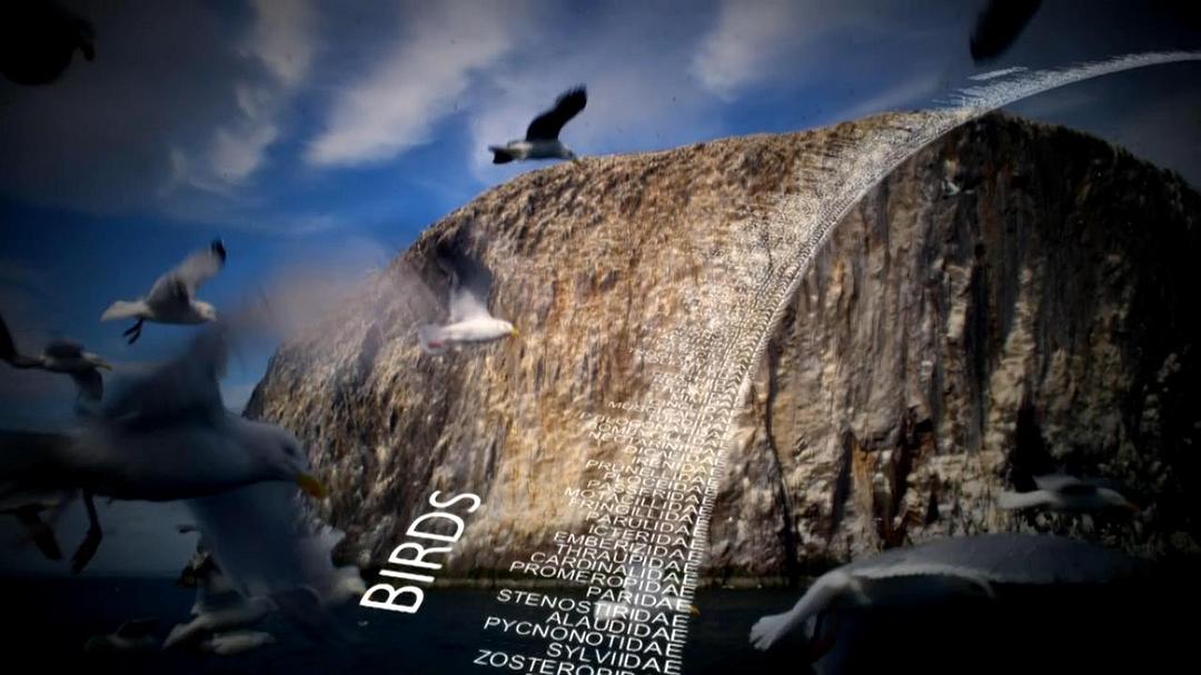 动物的崛起:脊椎动物的胜利 David Attenborough's Rise of Animals: Triumph of the Vertebrates