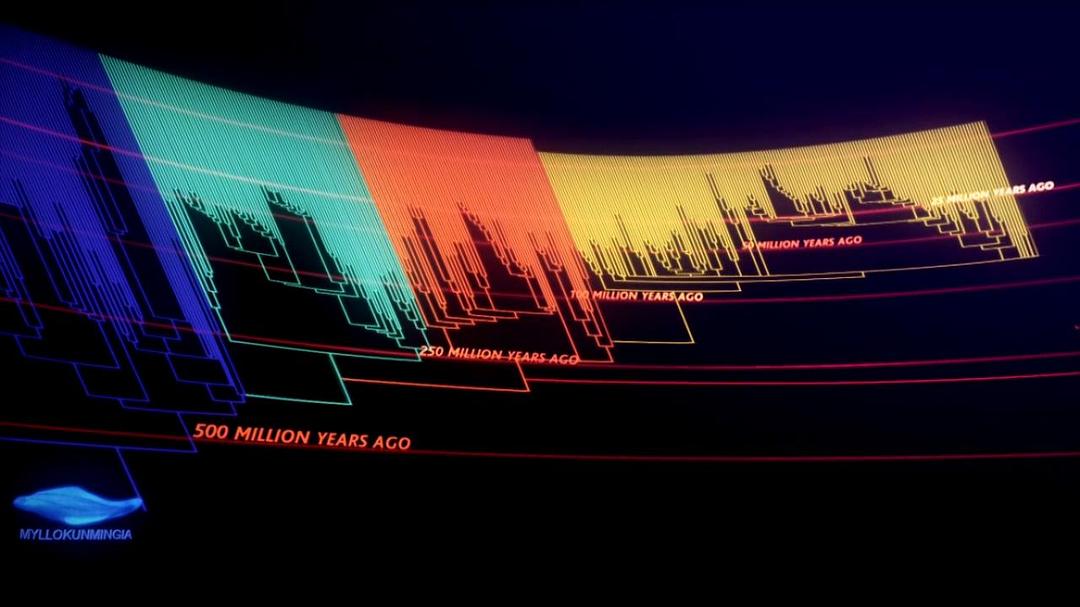 动物的崛起:脊椎动物的胜利 David Attenborough's Rise of Animals: Triumph of the Vertebrates
