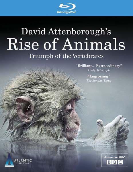 动物的崛起:脊椎动物的胜利 David Attenborough's Rise of Animals: Triumph of the Vertebrates
