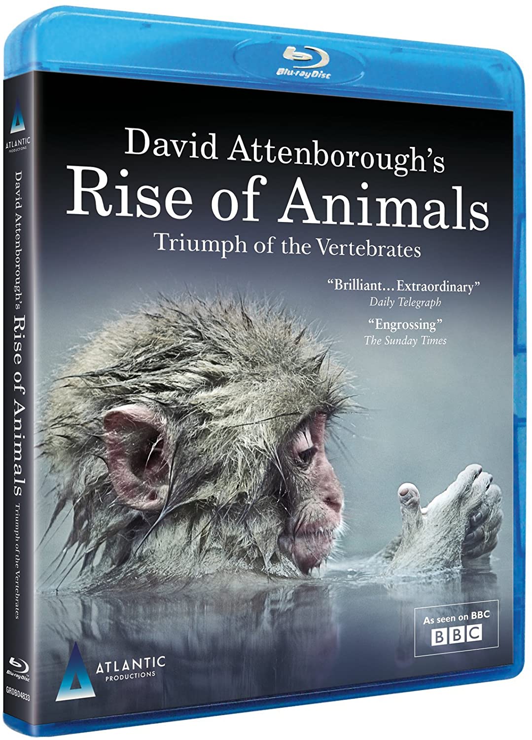 动物的崛起:脊椎动物的胜利 David Attenborough's Rise of Animals: Triumph of the Vertebrates