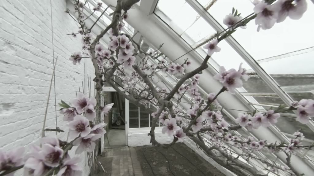 海利根失乐园 Heligan: Secrets of the Lost Gardens