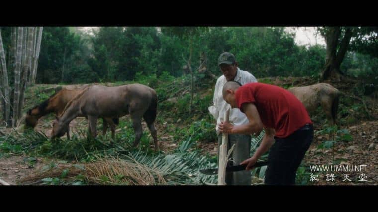 天空的味道 A Taste of Sky