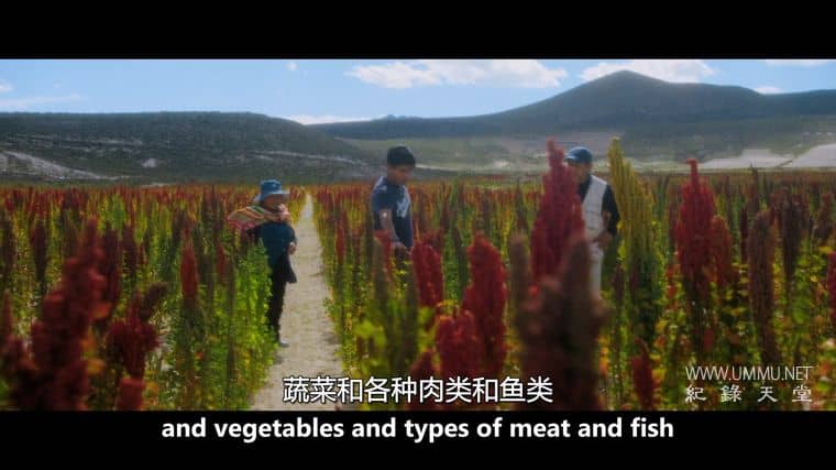 天空的味道 A Taste of Sky