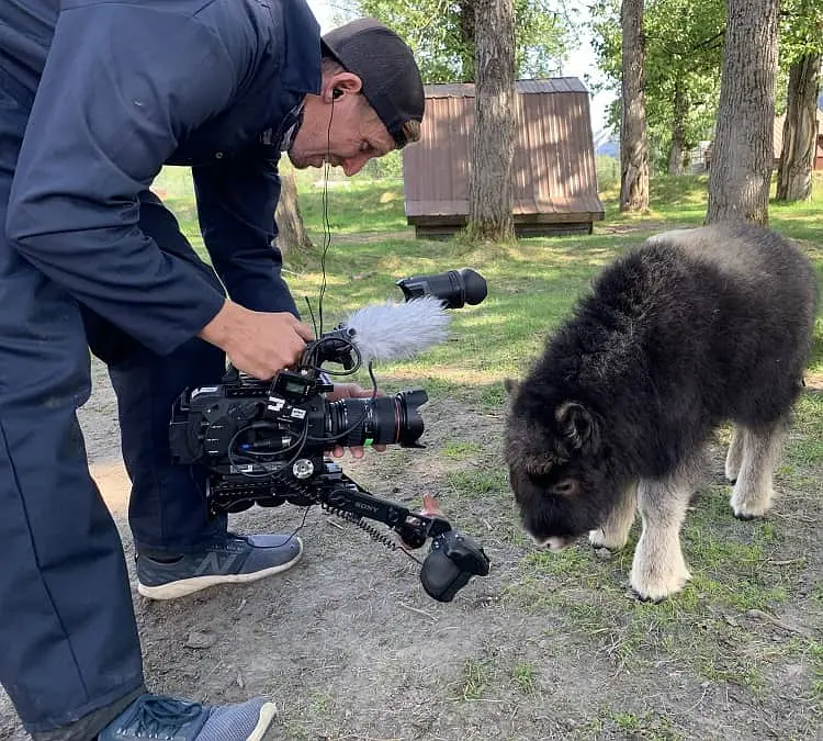 阿拉斯加野生动物救援 第一季 Alaska Animal Rescue Season 1