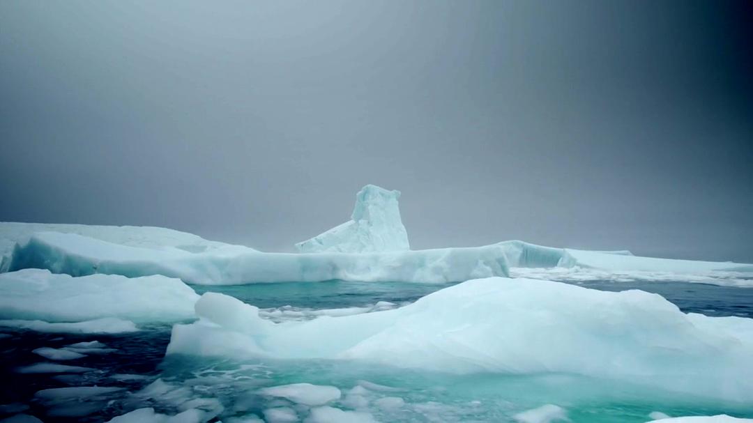 自然的力量 Forces of Nature with Brian Cox