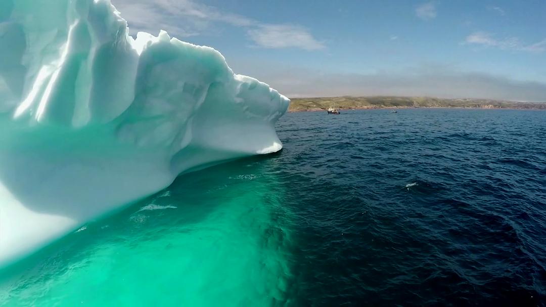 自然的力量 Forces of Nature with Brian Cox