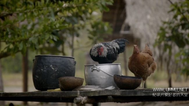 地球自然奇迹 生活在边缘 Earths Natural Wonders Living on the Edge
