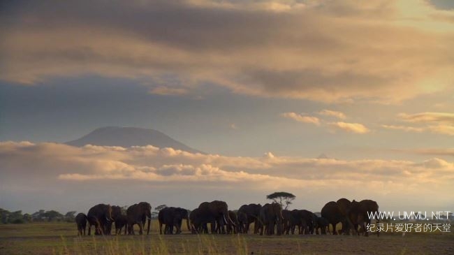 地球自然奇迹 生活在边缘 Earths Natural Wonders Living on the Edge