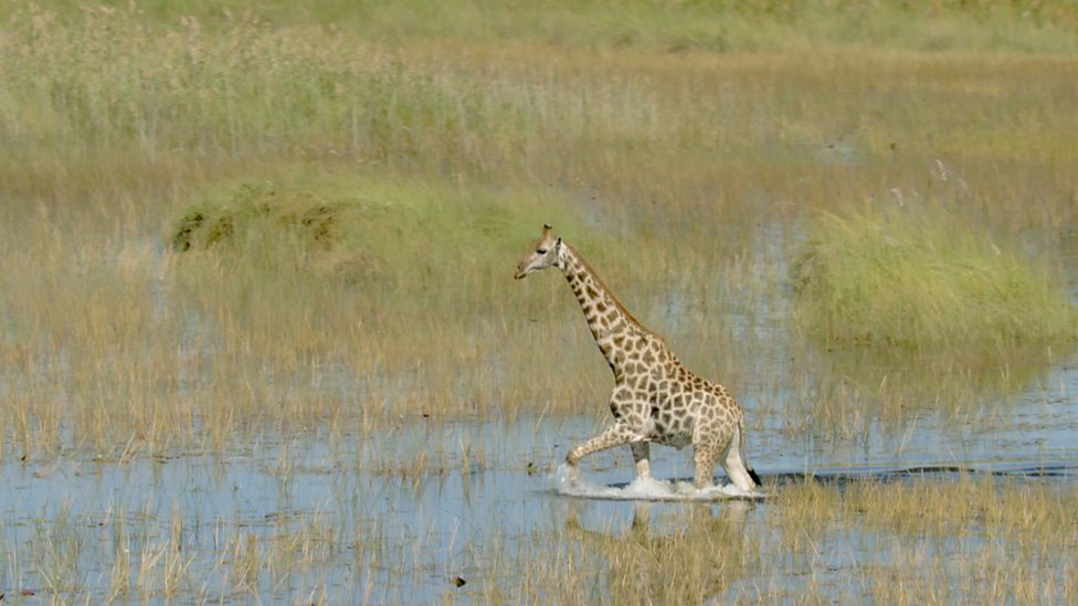 地球最壮观的景色 Earth's Greatest Spectacles