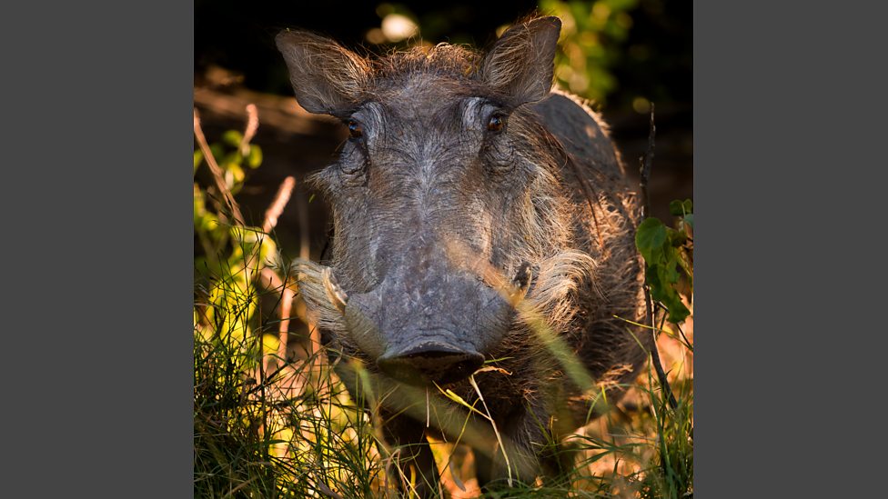 地球最壮观的景色 Earth's Greatest Spectacles