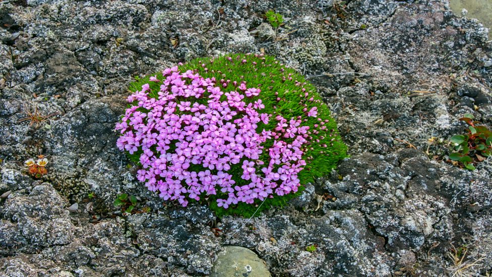 地球最壮观的景色 Earth's Greatest Spectacles