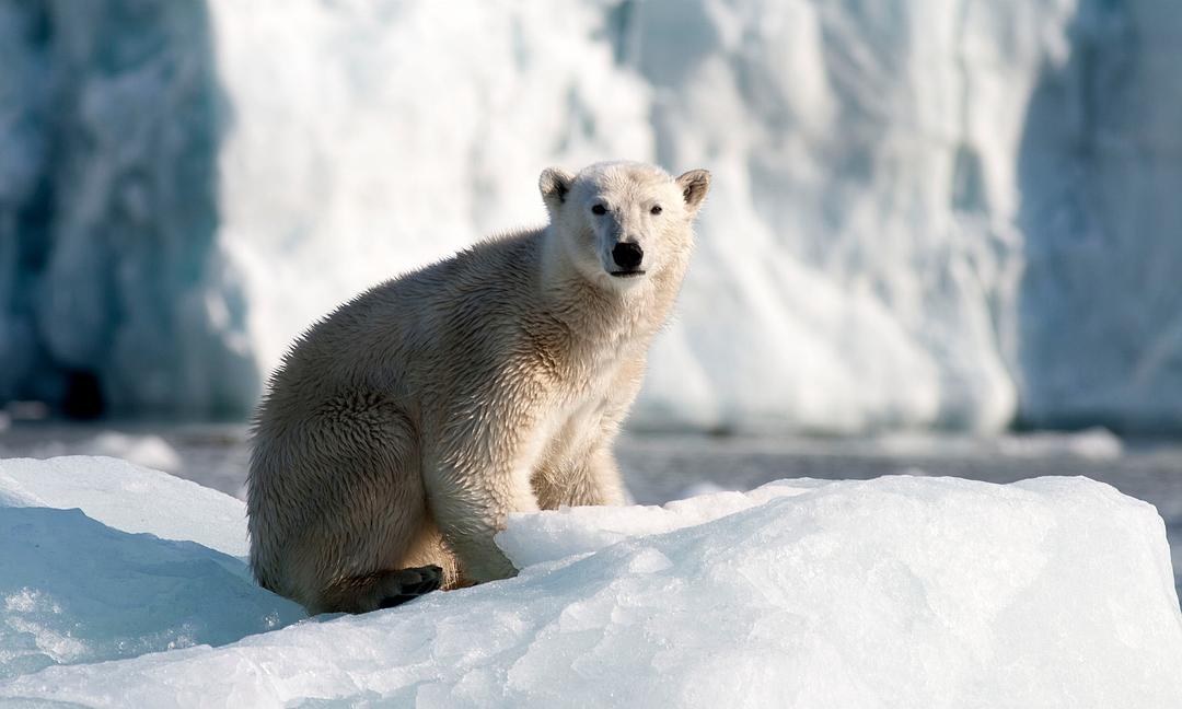 地球最壮观的景色 Earth's Greatest Spectacles