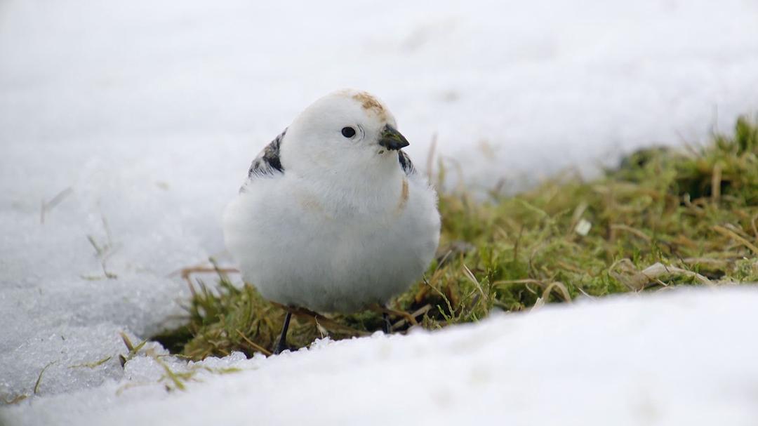 地球最壮观的景色 Earth's Greatest Spectacles