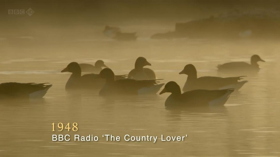 大卫爱登堡野外探索60年 Attenborough: 60 Years in the Wild