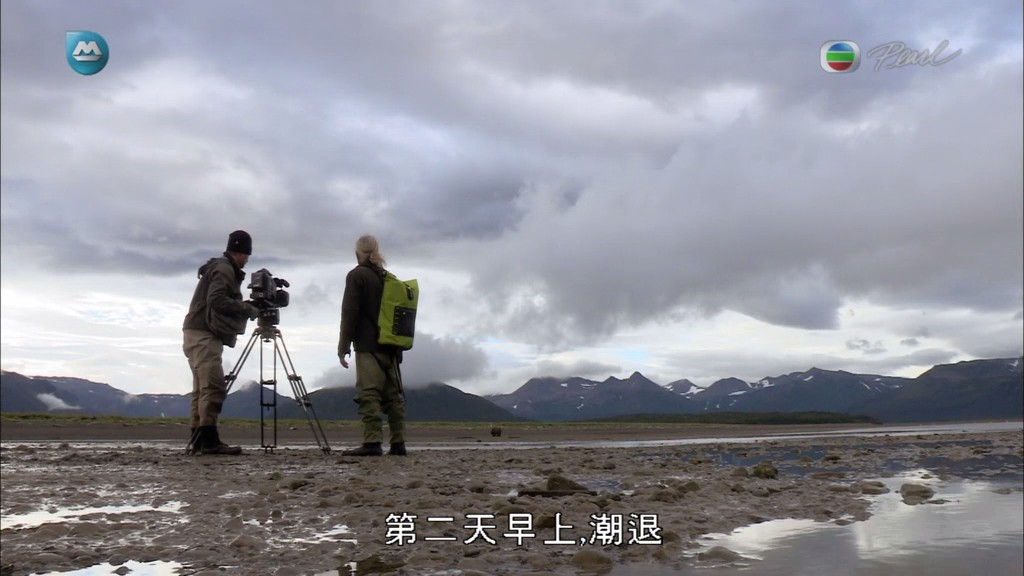 灰熊全接触 Great Bear Stakeout