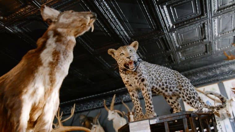 死前的101个聚会场所 101 Places to Party Before You Die 2022