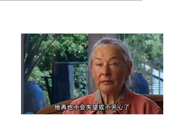 金门大桥 The Bridge