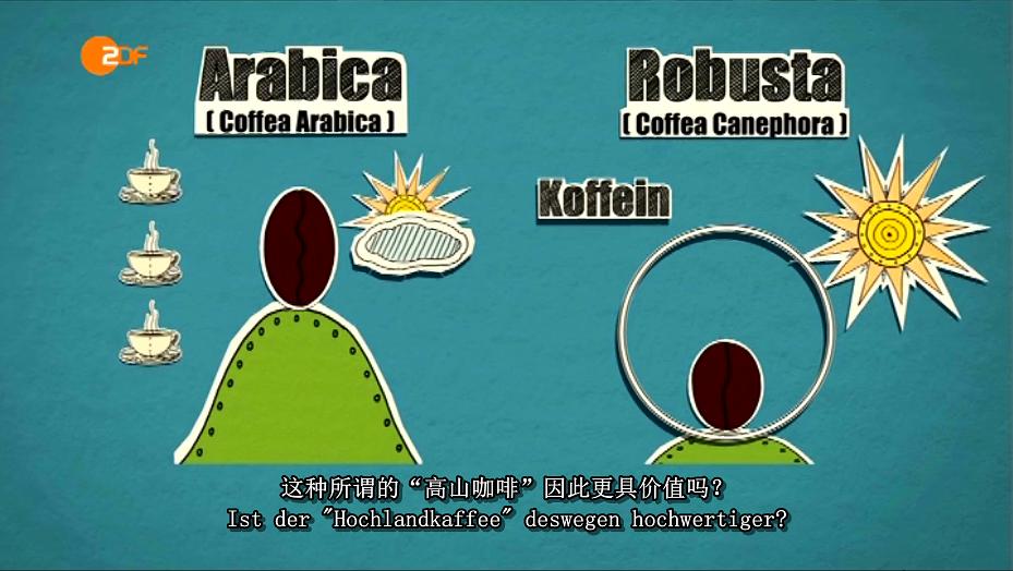 我们的咖啡有多棒? Wie gut ist unser Kaffee?