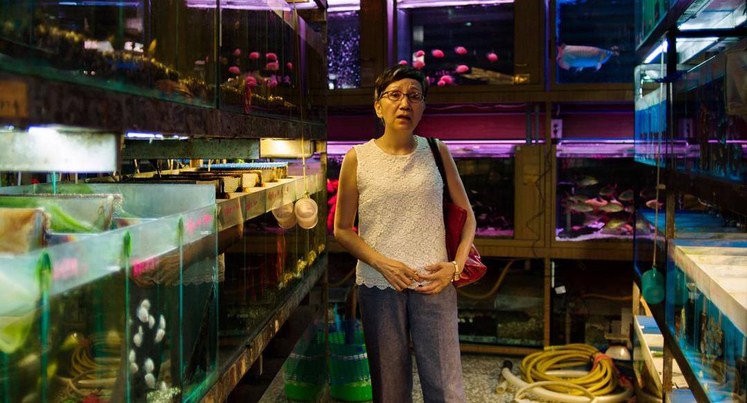 三天两夜 3天2夜