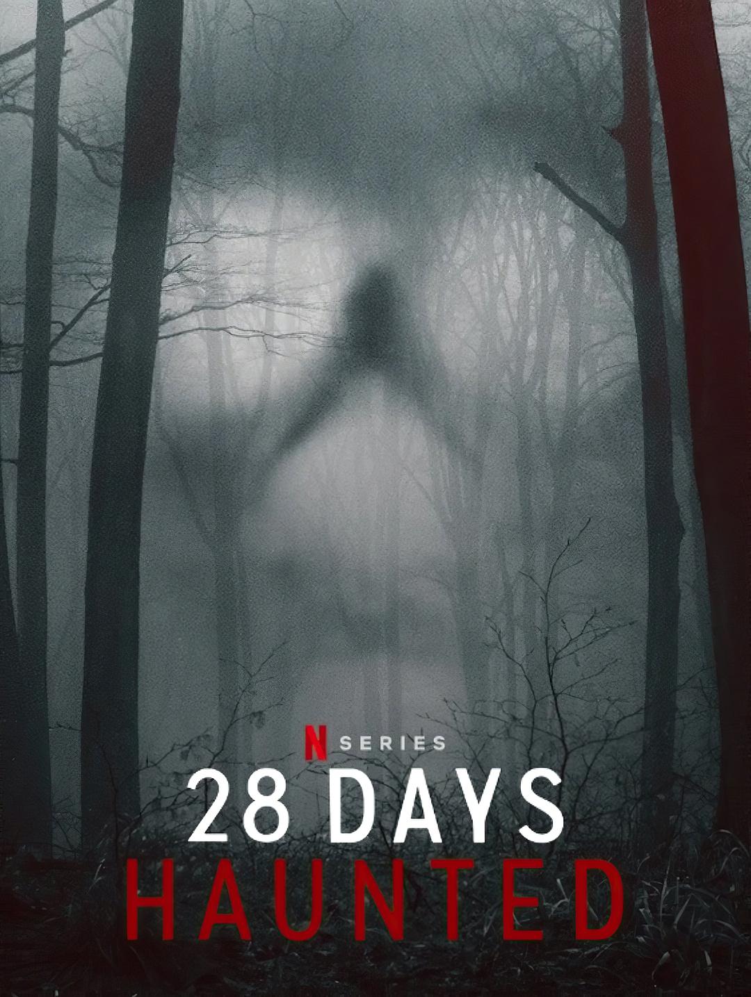 闹鬼实境28天 28 Days Haunted