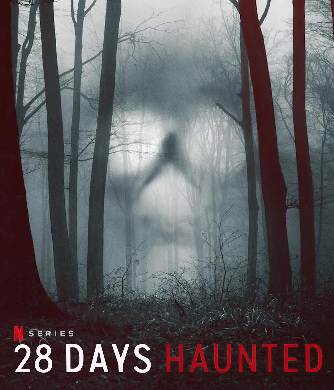 闹鬼实境28天 28 Days Haunted