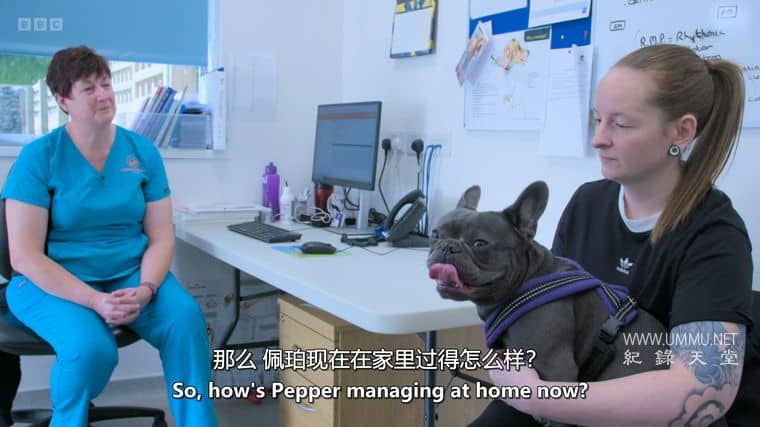 24小时宠物医院 24/7 Pet Hospital 2023
