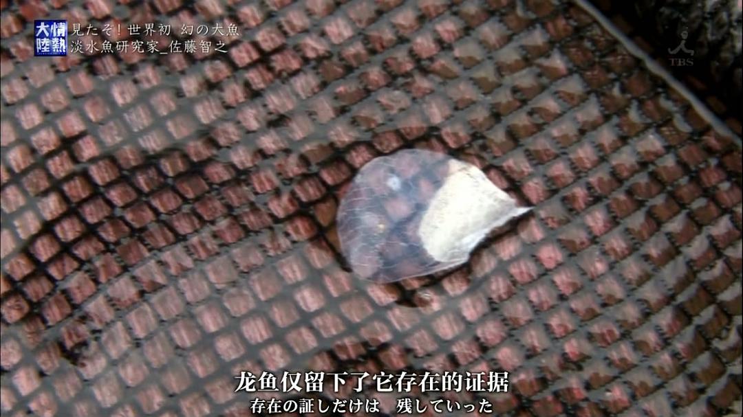 情热大陆 佐藤智之篇