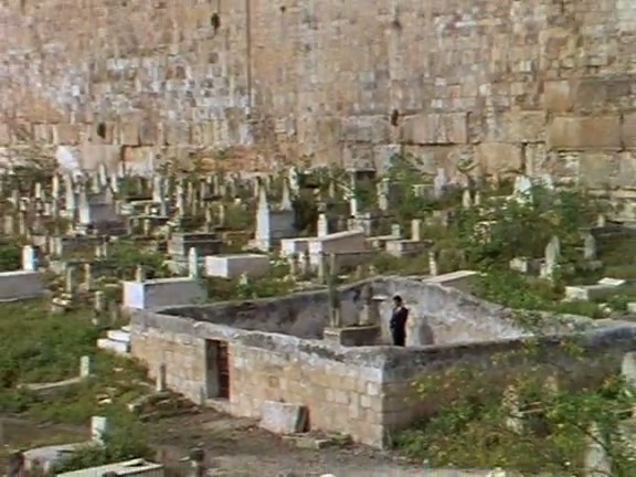 冥界的呼唤 voices of the dead