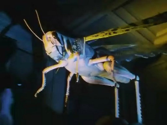 昆虫帝国 Alien Empire