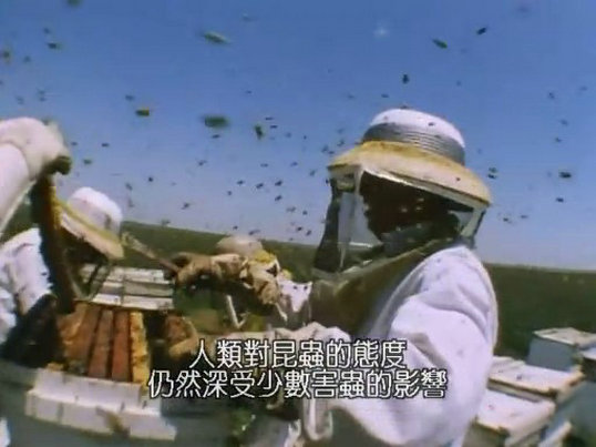 昆虫帝国 Alien Empire