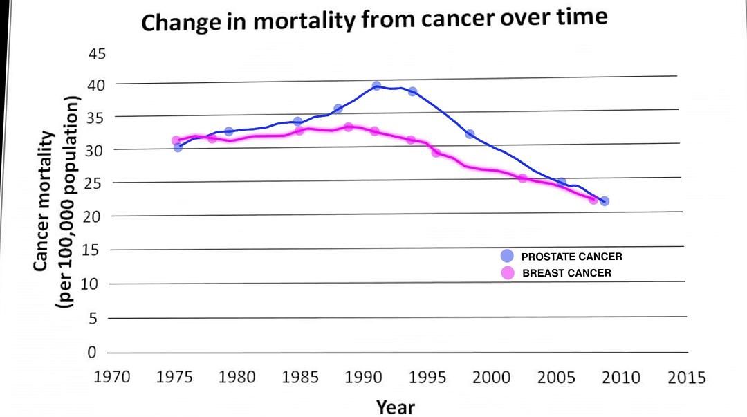 红色药丸 The Red Pill