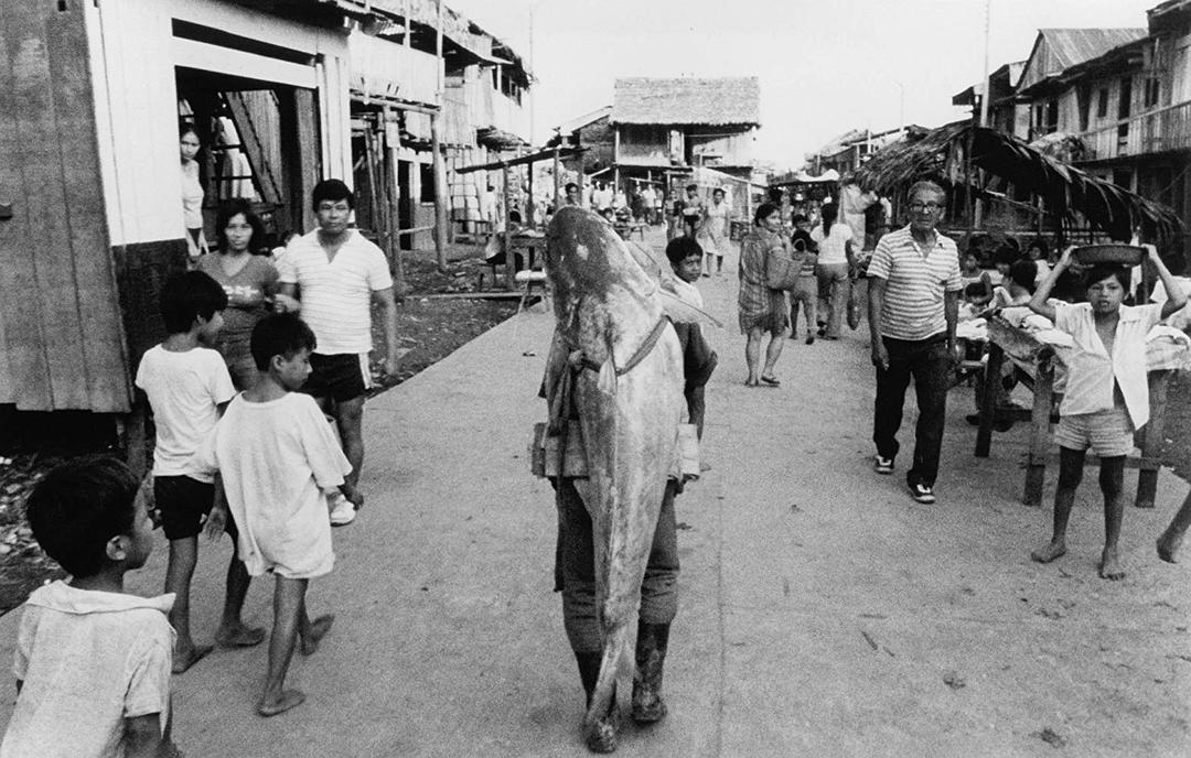 变形生活 Powaqqatsi