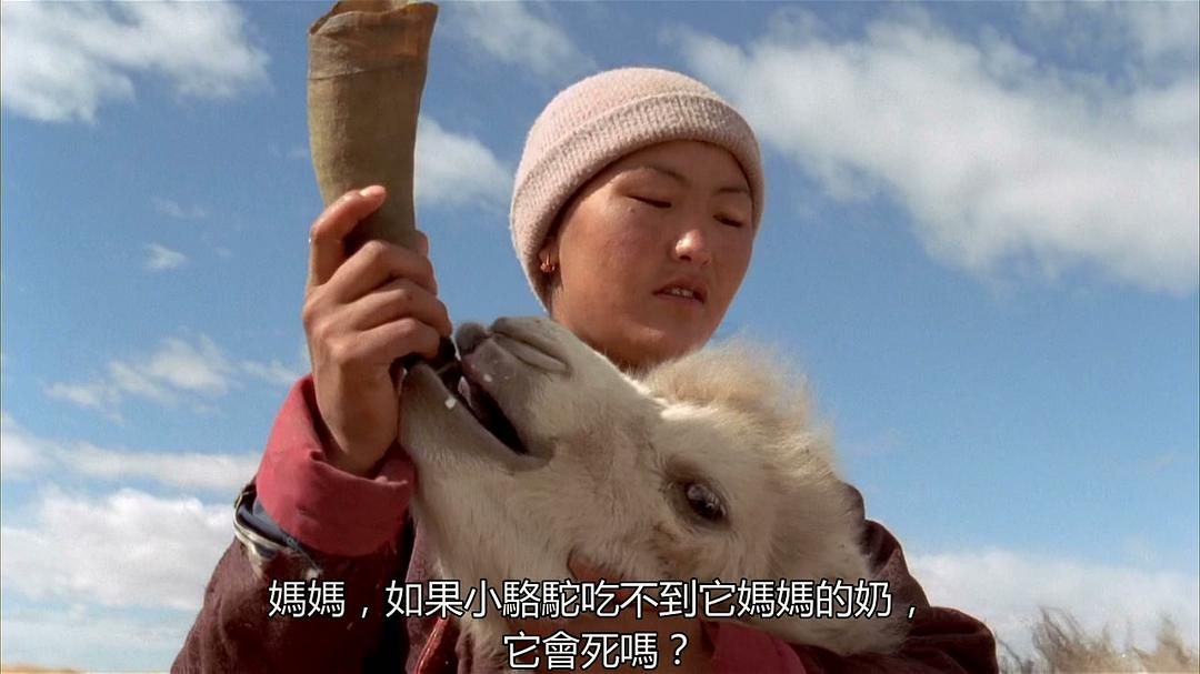 哭泣的骆驼 Die Geschichte vom weinenden Kamel