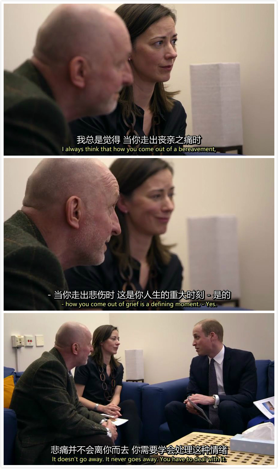 我们的母亲,戴安娜 Diana, Our Mother: Her Life and Legacy