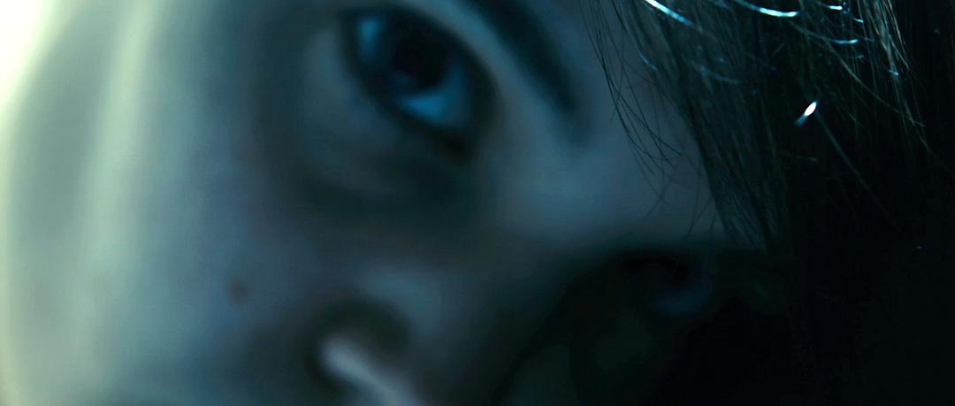 冒充者 The Imposter