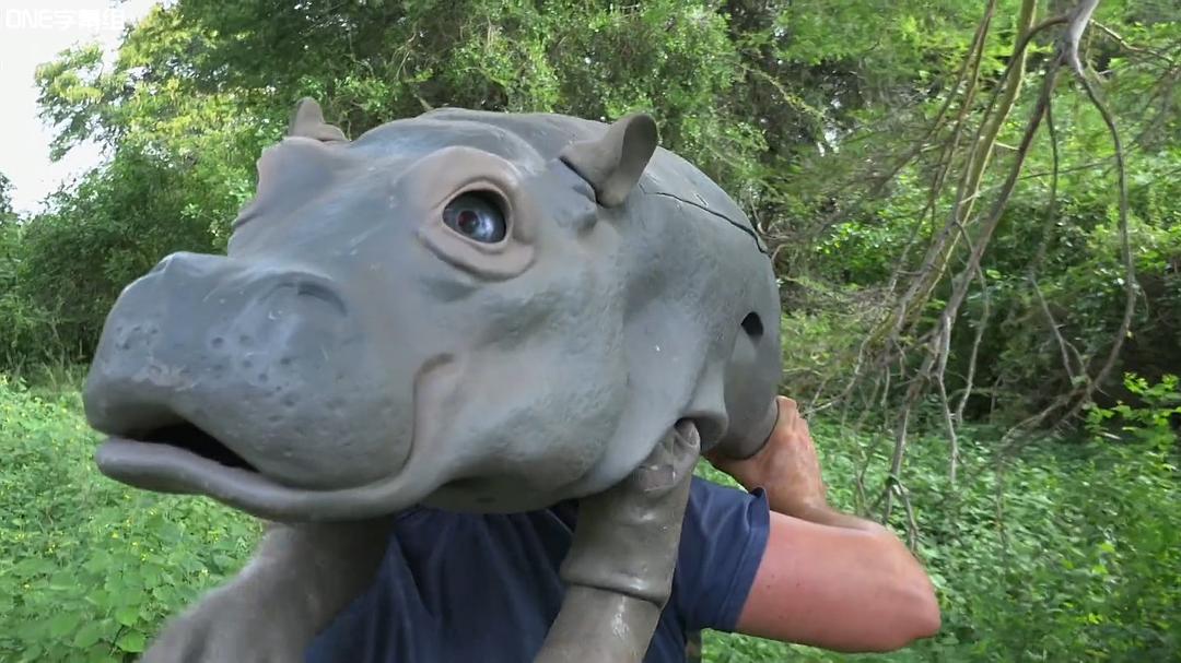 荒野间谍 第一季 Spy in the Wild Season 1