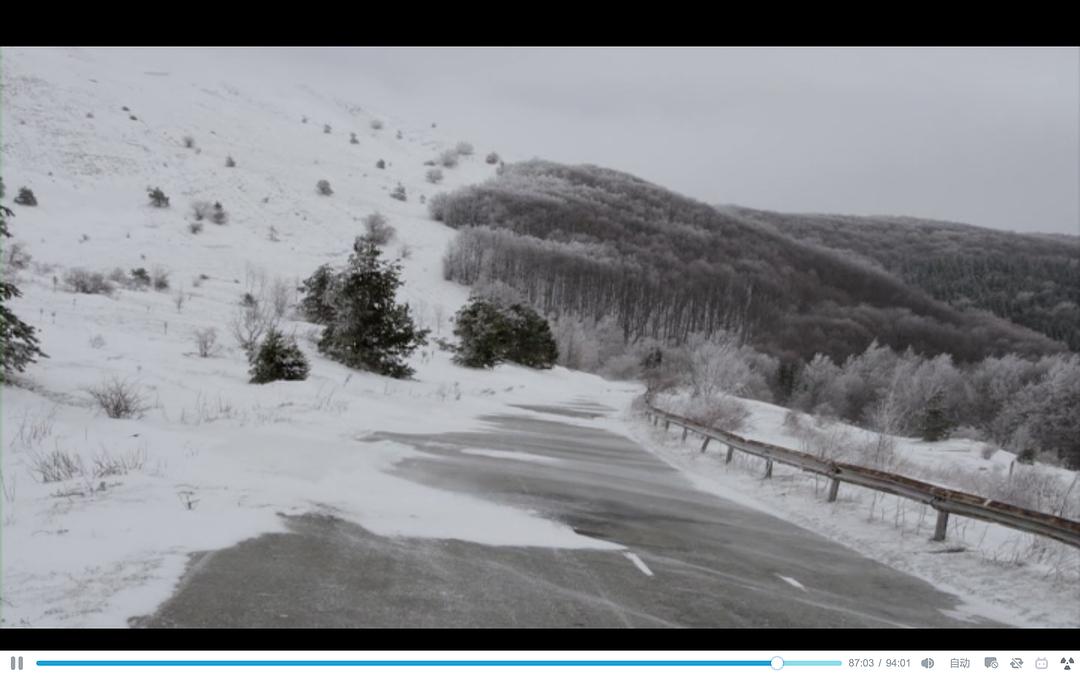 没有人的文明 Homo sapiens