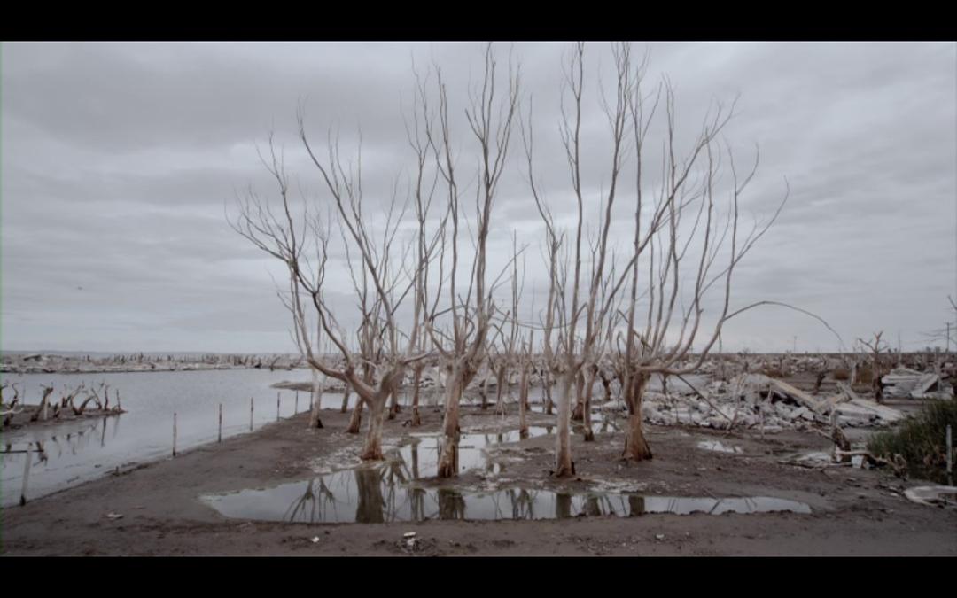 没有人的文明 Homo sapiens