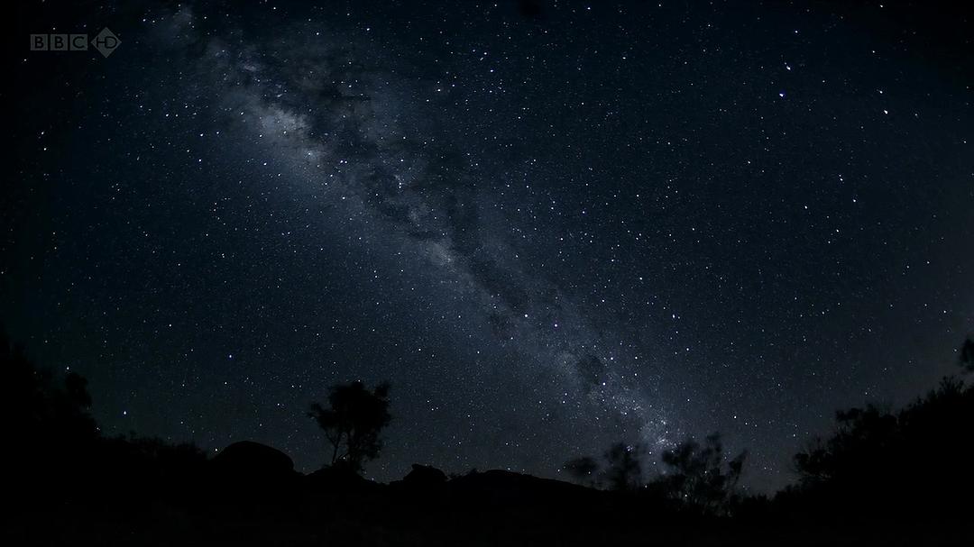 自然世界:袋鼠邓迪 The Natural World: Kangaroo Dundee