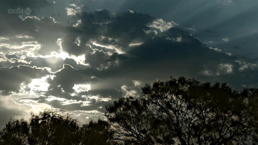 自然世界:袋鼠邓迪 The Natural World: Kangaroo Dundee