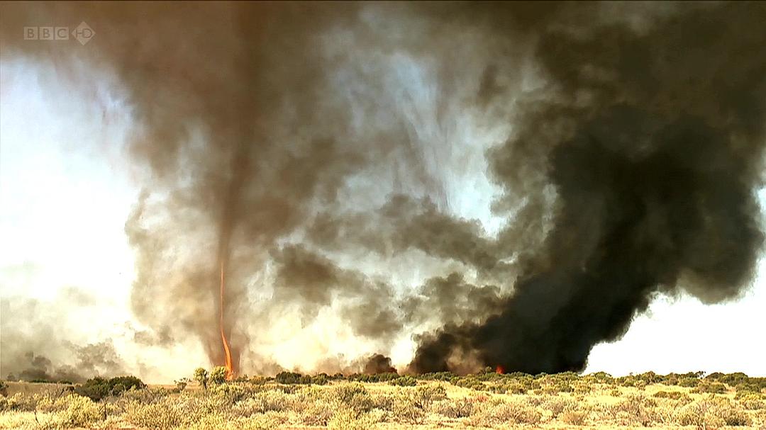 自然世界:袋鼠邓迪 The Natural World: Kangaroo Dundee