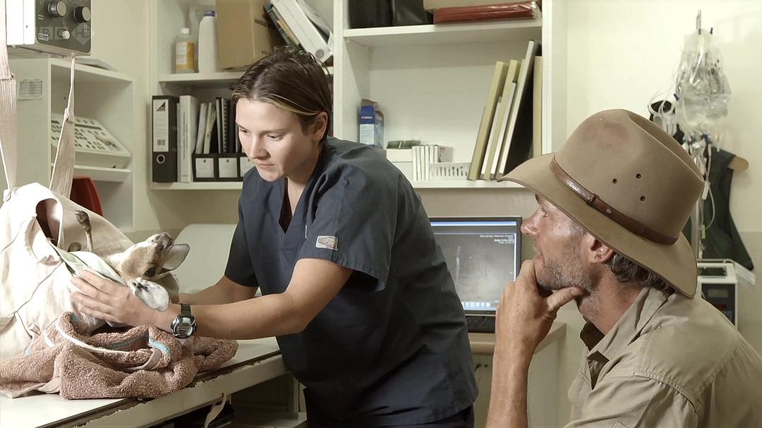 自然世界:袋鼠邓迪 The Natural World: Kangaroo Dundee