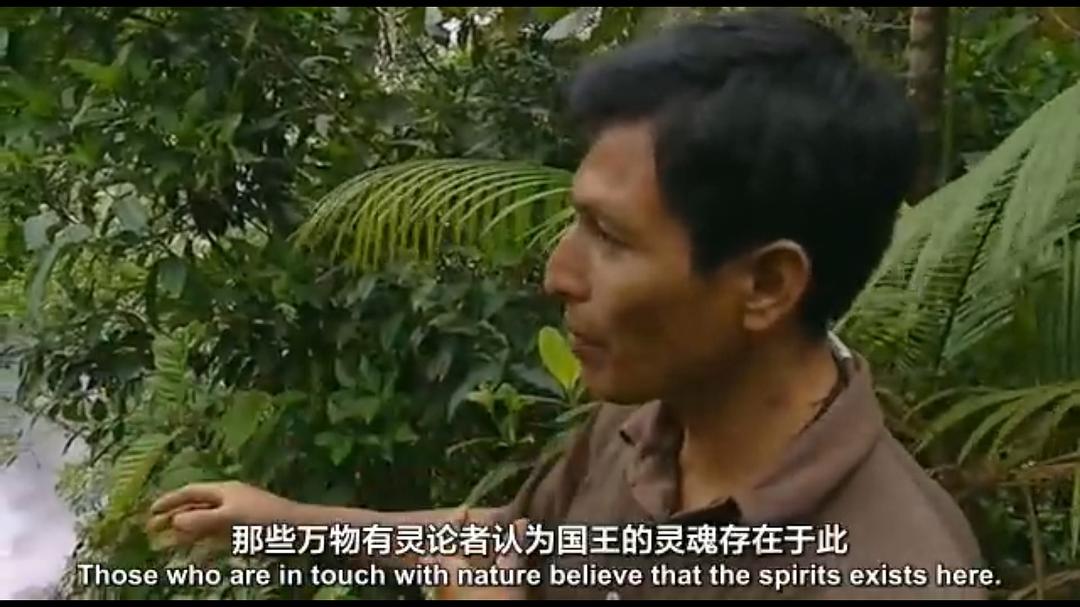 征服者 Conquistadors