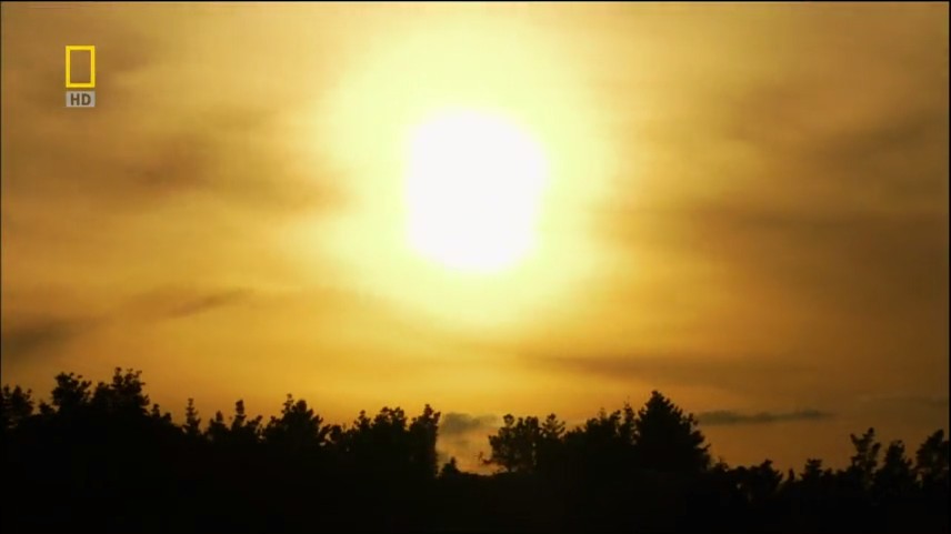 达尔文的演化远征 Darwin's Lost Voyage