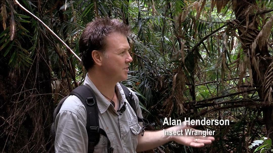 微型猛兽世界之旅 Micro Monsters 3D