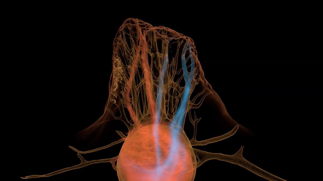 微型猛兽世界之旅 Micro Monsters 3D